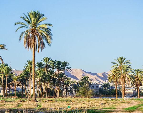 Jericho | City of Walls, Desert Oasis